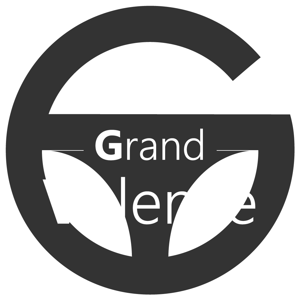 Taxi du Grand Valence
